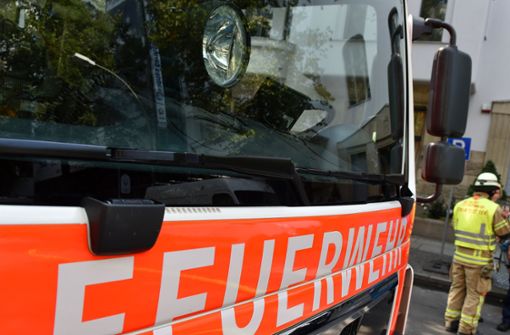Die Feuerwehr Pforzheim war mit sechs Fahrzeugen und 21 Einsatzkräften vor Ort. (Symbolfoto) Foto: dpa-Zentralbild