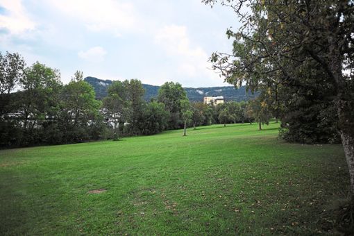 Auf diesem Grünstreifen nahe dem Lochenbad in Weilstetten soll das Pflegeheim gebaut werden. Foto: Maier
