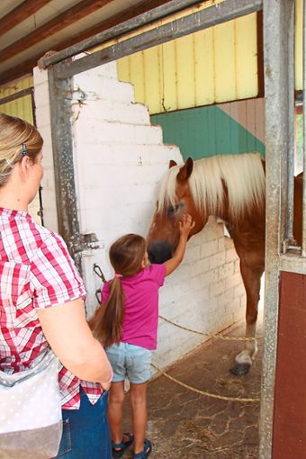 Die Besucher konnten die Pferde im Stall des Bonifazhofs streicheln.  Fotos: Weis Foto: Schwarzwälder Bote