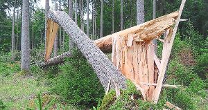 Kreuz und quer liegen viele Bäume im Leipferdinger Revier des Geisinger Stadtwaldes – teilweise abgerissen, teilweise komplett entwurzelt. Foto: Haug