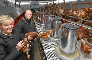 Aufgabenteilung: Gudrun Müller unterstützt ihren Sohn Rafael bei der Haltung und Pflege seiner über 500 Tiere in den mobilen Hühnerställen. Foto: Schwarzwälder-Bote