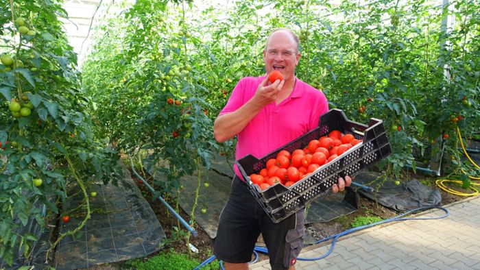 Norbert Längle aus Dunningen verrät den Weg zur perfekten Tomate
