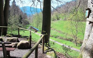 Das liebliche Dobelbachtal soll künftig Teil des Hirschpfads werden. Foto: Gegenheimer Foto: Schwarzwälder Bote