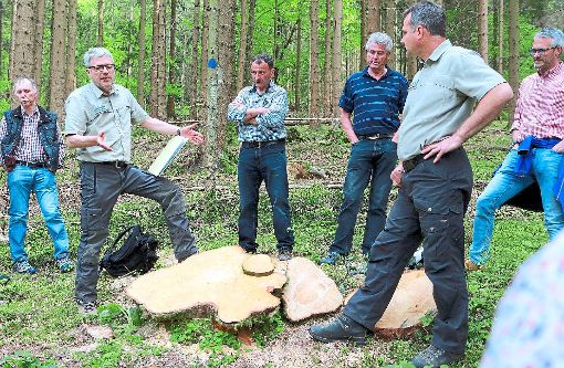 Johannes Fünfgeld vom Calwer Landratsamt (links)  erklärte  den Räten Fakten rund um Bäume. Foto: Kraushaar Foto: Schwarzwälder-Bote