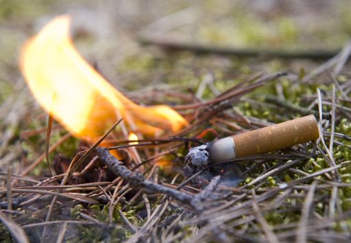 Eine achtlos weggeworfene Zigarette kann einen Wald- oder Flächenbrand auslösen. Symbolfoto: Pleul Foto: Schwarzwälder Bote
