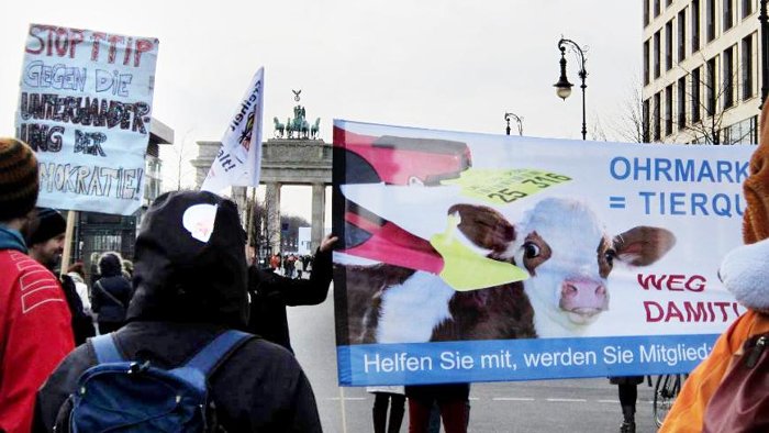 Rinderflüsterer wirbt in Berlin für seine Ziele