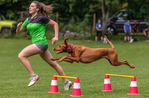 Lilien Hauser und Pheline bei einem Turnier des Hundesportvereins Fridingen. Foto: Iris Ludewig