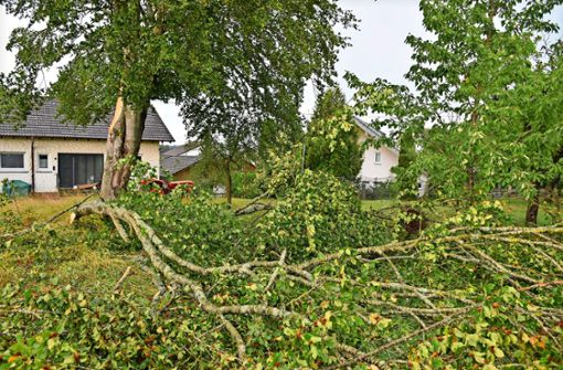 Für umgestürzte Bäume und wie im Bild  große herabgefallene Äste  sorgte der Gewittersturm am Donnerstagabend innerhalb der Gesamtgemeinde Niedereschach. Foto: Albert Bantle