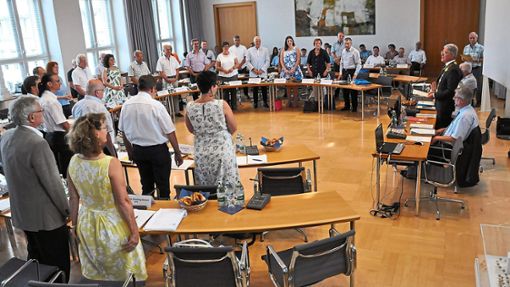 Der Lahrer Gemeinderat, hier die konstituierende Sitzung nach der letzten Kommunalwahl, wird ab Sommer anders aussehen. Foto: Schabel