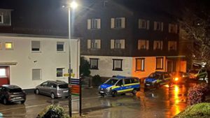 Vier Fahrzeuge der Polizei wurden in der Nacht auf Freitag in Klosterreichenbach gesichtet. Foto: Anwohnerin