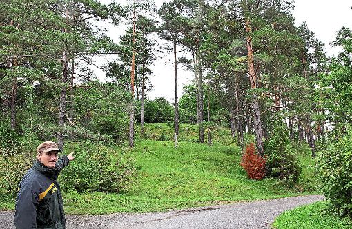 So soll es werden: Revierförster Adrian Grundler zeigt auf einen lichten Kiefern-Laub-Mischwald im Naturschutzgebiet Alte Egart in Glatten.  Foto: Ade Foto: Schwarzwälder-Bote