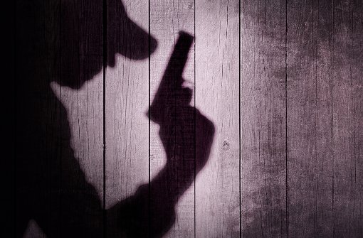 Ein 21-Jähriger hat mehrere Schüsse mit einer Schreckschusswaffe abgegeben. (Symbolfoto) Foto: shutterstock/AVN Photo Lab