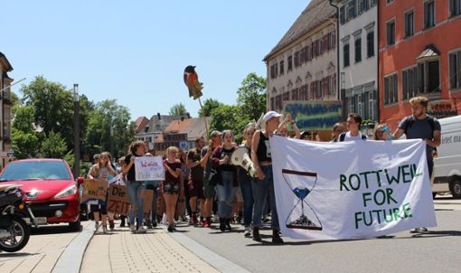 Fünf Fridays-for-Future-Demonstrationen hat es in Rottweil seit März gegeben. Einige der Forderungen waren gestern Abend Thema im Gemeinderat.    Foto: Archiv-Foto: Alt