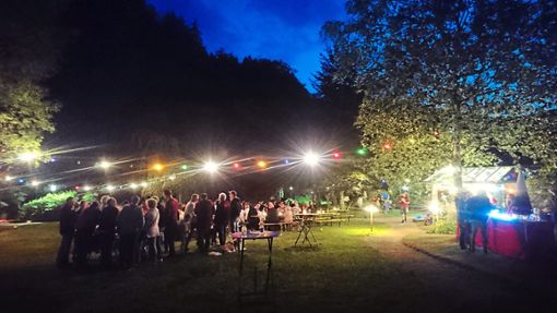 Der Kurpark wird am Samstag, 13. Juli, beim Lichterfest in stimmungsvolle Farben getaucht. Foto: Verein Foto: Schwarzwälder Bote