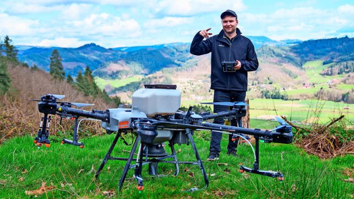 So helfen Drohnen in Gengenbach bei der Aufforstung