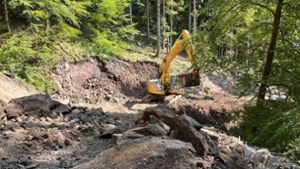 Gemeinderat Schiltach blickt auf die Forstwirtschaft