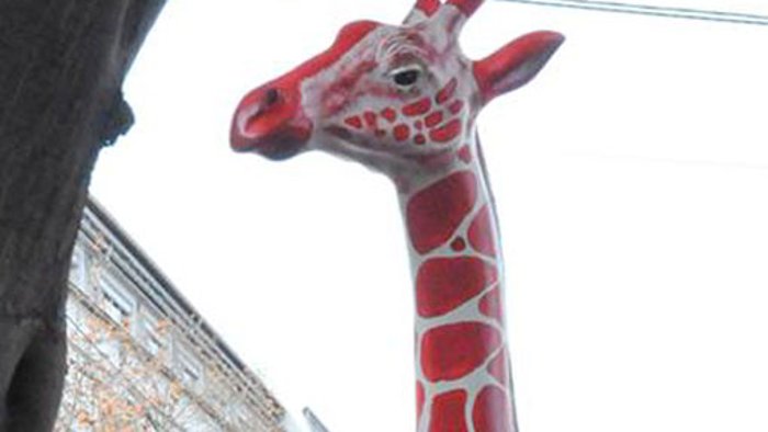 Diebe klauen zweite Giraffenfigur
