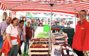 Frische Vitamine vom Obsthof Oberkirch standen bei den Naturparkmarktbesuchern auf dem Dobel gut im Kurs. Foto: Gegenheimer Foto: Schwarzwälder Bote