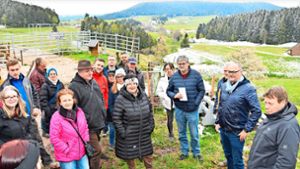 Naturschutz in Lauterbach: So läuft das nächte Kapitel im  Mooswald-Fiasko