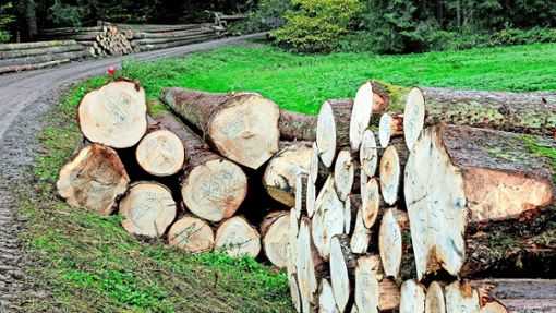 Trotz großer Mengen an Schadholz durch Trocken- und Käferschäden konnte im Glattener Gemeindewald dieses Jahr noch ein ordentlicher Gewinn erzielt werden. Foto: Ade