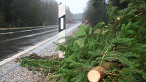 Sturm entwurzelt Bäume und legt Bahnverkehr lahm