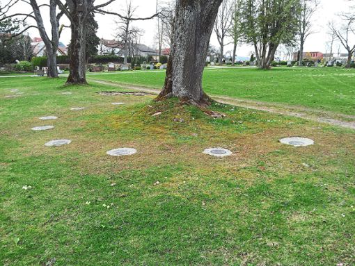 24 Baumgräber für Urnenbestattungen sind auf dem Friedhof in Pfalzgrafenweiler entstanden.  Foto: Gemeinde Foto: Schwarzwälder Bote