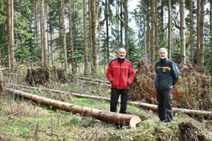 Forstamtsleiter Frank Kapahnke (rechts) und der Deißlinger Förster Thomas Zihsler erwarten in diesem Jahr einen besonders starken Schwärmflug des Borkenkäfers. Foto: Merk