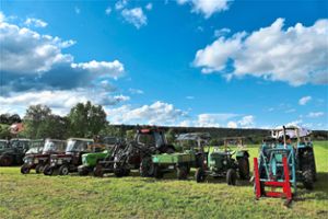 Beim Kohlenmeiler-Fest waren auch rund 70 Traktoren zu sehen.  Fotos: Judith Ketterle Foto: Schwarzwälder Bote