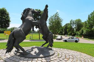 Einst umstritten, heute Symbol für Donaueschingen und seine Reitturnier-Tradition: der Pferdekreisel. Foto: Simon