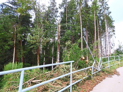 Zwischen Schloßmühle und Nägelesee werden am Waldrand mehrere Bäume umgeknickt. Unterhalb der Abzweigung zum Mühllehen fällt ein Baumwipfel   Richtung Landesstraße und beschädigte ein Geländer.  Foto: Vaas