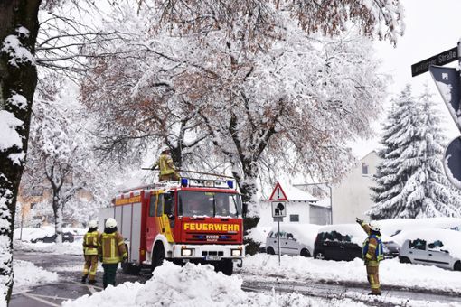Der Schneefall hat am Wochenende im Raum Albstadt für Verkehrschaos gesorgt. Wegen umgestürzter Bäume waren mehrere Straßen gesperrt. Zum Artikel Foto: Jannik Nölke