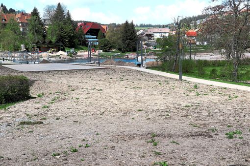 Die Ausgestaltung des Kurparks und ein Notfall-Landeplatz wird   kontovers diskutiert.  Foto: Kommert Foto: Schwarzwälder Bote
