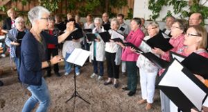 Musikalisch trug unter anderem der Kirchenchor Waldachtal zur Unterhaltung bei. Fotos: Maier Foto: Schwarzwälder Bote