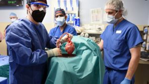 Herzchirurgen sehen erste Transplantation als Erfolg