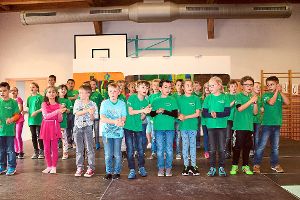 Viele verschiedene Auftritte der Kinder gab es beim Grundschulfest in Baisingen zu bestaunen. Foto: Baum Foto: Schwarzwälder-Bote