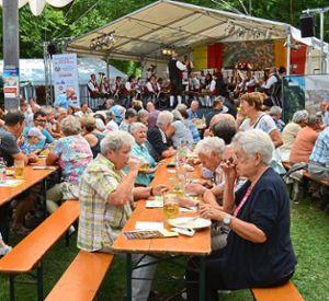 Die Trachtenkapelle Altburg unterhält auf der Bühne die Neckarfestbesucher. Fotos: ah Foto: Schwarzwälder Bote