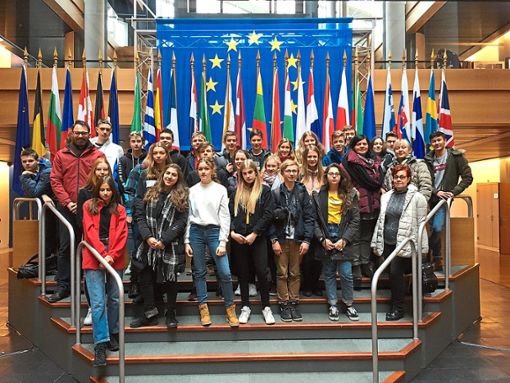 Die polnisch-deutsche Gruppe besuchte das Europaparlament in Straßburg.  Foto: Gymnasium Foto: Schwarzwälder Bote