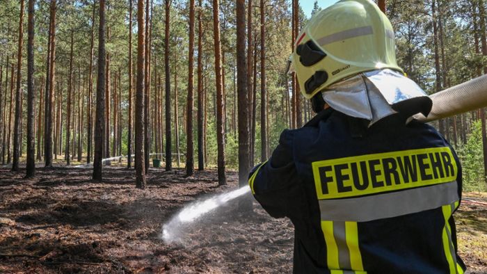 Grillen und Feuermachen in Wald  verboten