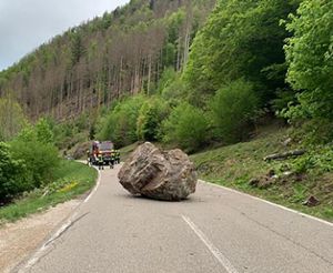 Ein großer Felsbrocken löst sich im Südschwarzwald von einer Felswand und stürzt auf eine Straße.  Foto: dpa