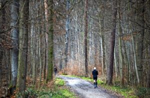 Ein Mann joggt durch ein Waldstück. Foto: dpa/Christoph Schmidt