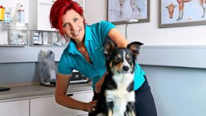 Franziska Bauer sagt, warum Hunde-Physiotherapie sinnvoll ist