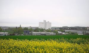 Eine mögliche Gewerbefläche im Industriegebiet Heiligenfeld. 13 Hektar wären hier frei.  Foto: Lück