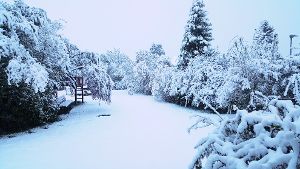 Schneelandschaft im Morgengrauen: Sieht eigentlich ganz nett aus, würde aber im Dezember mehr Freude machen. Foto: Otto