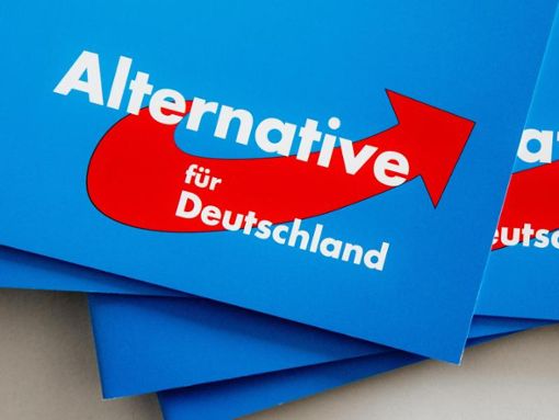 Die AFD kämpft um Wählerstimmen in Villingen-Schwenningen. (Symbolfoto) Foto: dpa
