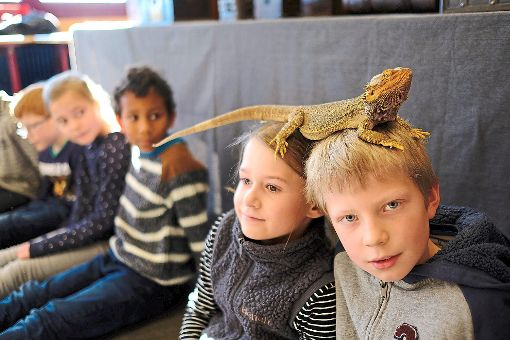Einige der Kinder waren so mutig, sich die Bartagame auf den Kopf setzen zu lassen. Fotos: Fritsch Foto: Schwarzwälder-Bote
