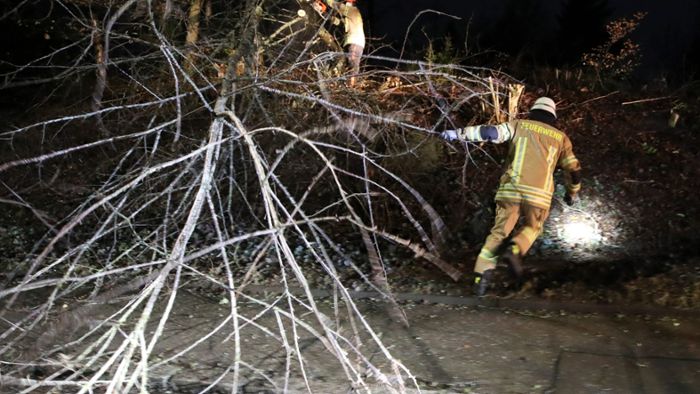 Umgestürzter Baum in Villingen - Feuerwehr rückt aus