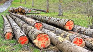 Weiter hohe Nachfrage nach Brennholz