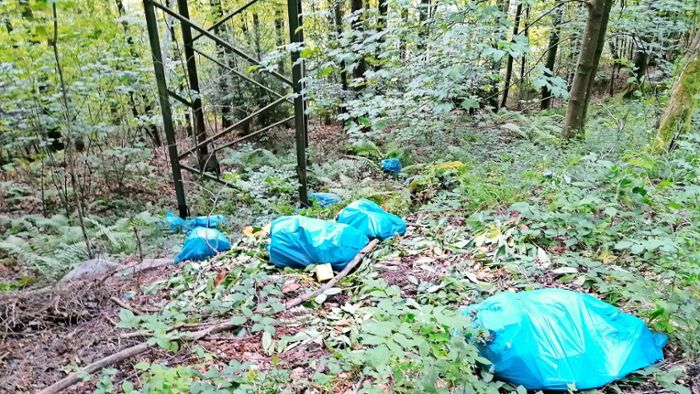 Wilder Müll liegt seit Wochen im Wald
