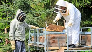 Familie Schneider aus Dauchingen: So kann man ein Bienenvolk mieten