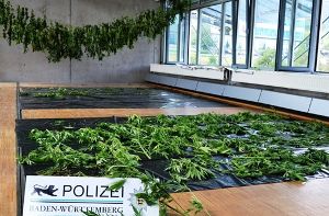 Diese Indoor-Plantage entdeckten die Ermittler in Spaichingen. Foto: Polizei
